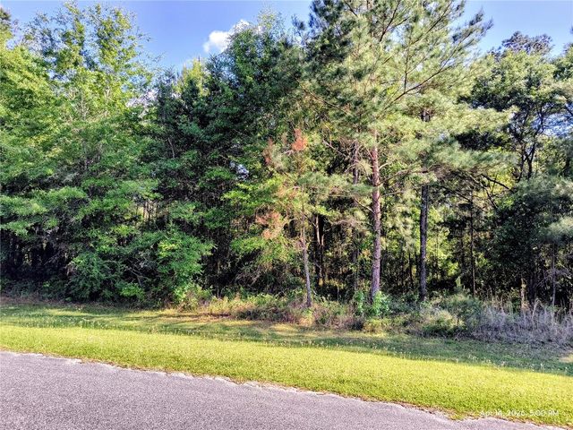 TBD NW 142ND STREET, Williston, FL 32696