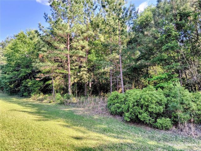 TBD NW 142ND STREET, Williston, FL 32696