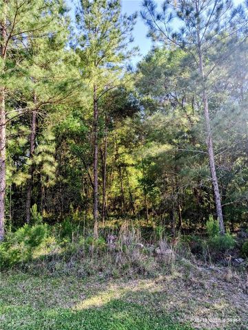 TBD NW 142ND STREET, Williston, FL 32696