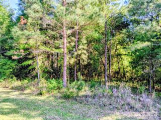 TBD NW 142ND STREET, Williston, FL 32696