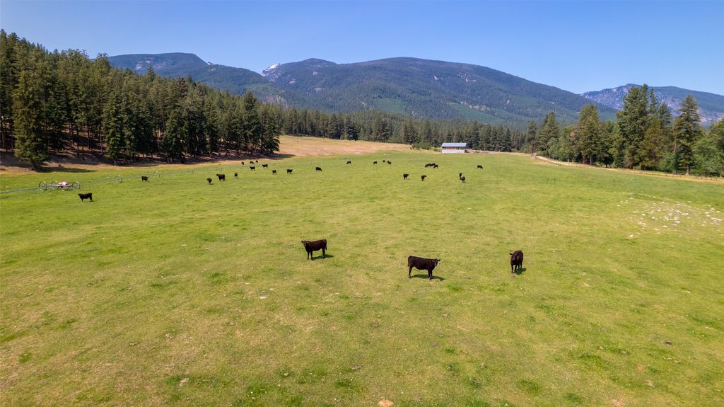 406 Chief Joseph Trail, Darby, MT 59829 photo 168