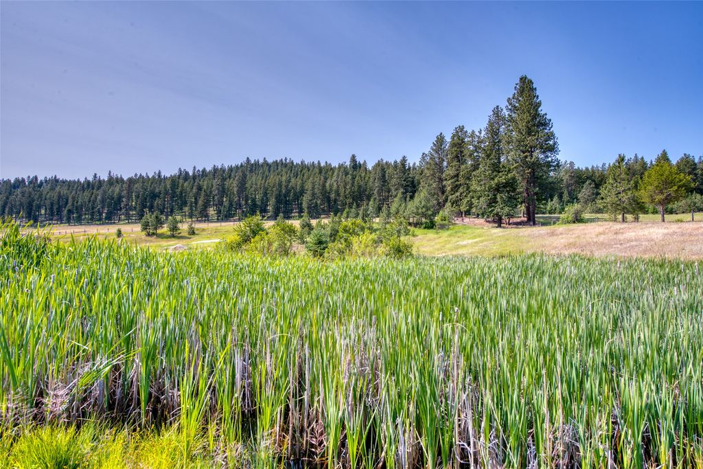 406 Chief Joseph Trail, Darby, MT 59829 photo 181