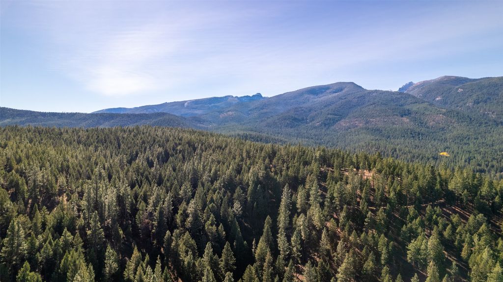 406 Chief Joseph Trail, Darby, MT 59829 photo 185