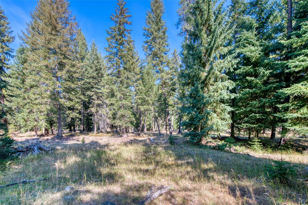 406 Chief Joseph Trail, Darby, MT 59829 photo 188