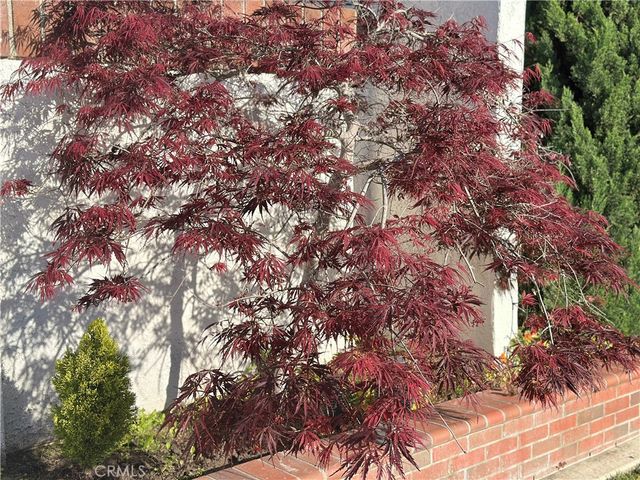 19521 Rainbow Court, Cerritos, CA 90703