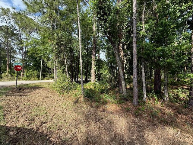 QUAIL HOLLOW BOULEVARD, Wesley Chapel,, FL 33544