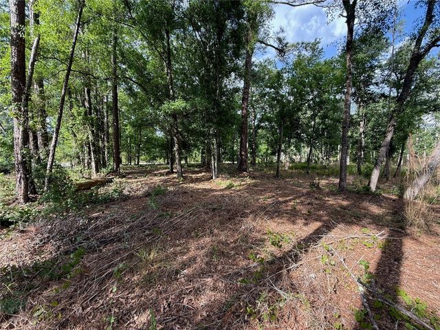 QUAIL HOLLOW BOULEVARD, Wesley Chapel,, FL 33544