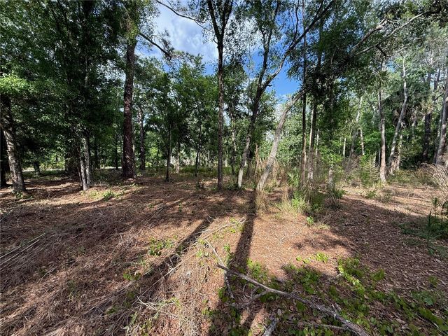 QUAIL HOLLOW BOULEVARD, Wesley Chapel,, FL 33544
