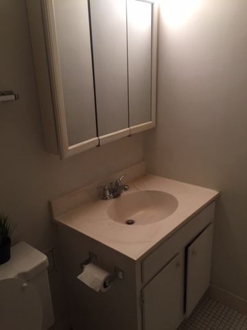 300 Roselle Road 419, Schaumburg, IL 60193