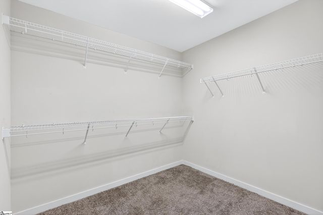 217 Button Willow Street, Taylors, SC 29687