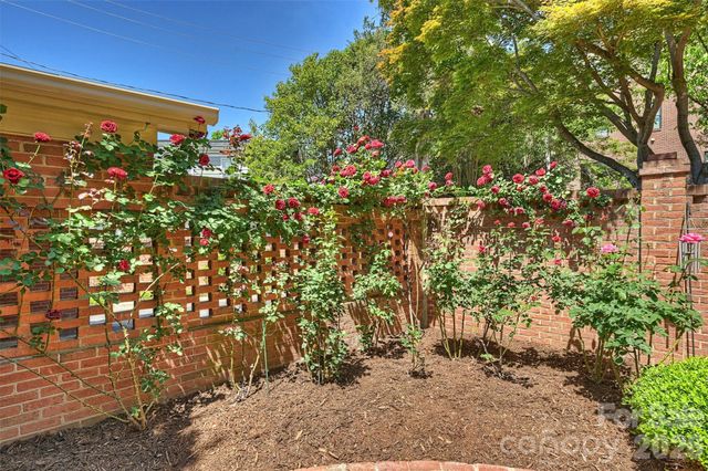 2320 Selwyn Avenue, Charlotte, NC 28207