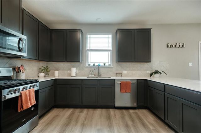 209 Asher Blue DR, Hutto, TX 78634