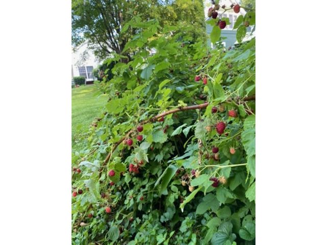 77 River Street, Milton, VT 05468