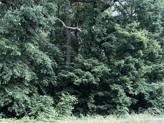 0 Buffalo Shoals Road, Statesville, NC 28677