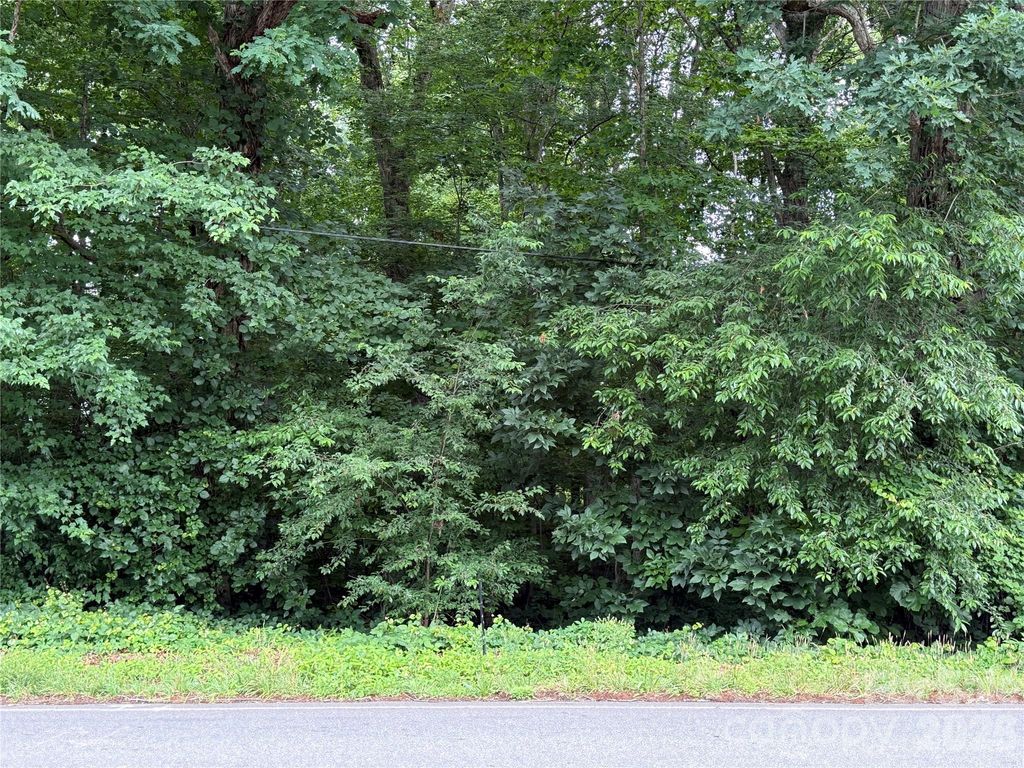 0 Buffalo Shoals Road, Statesville, NC 28677