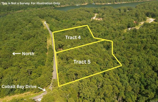 Tract 3 Cobalt Bay Drive, Shirley, AR 72153