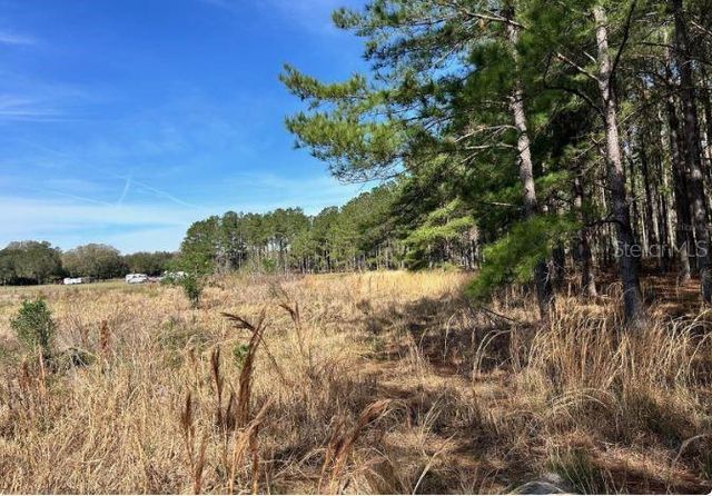 4477 E C 48, Center Hill, FL 33514