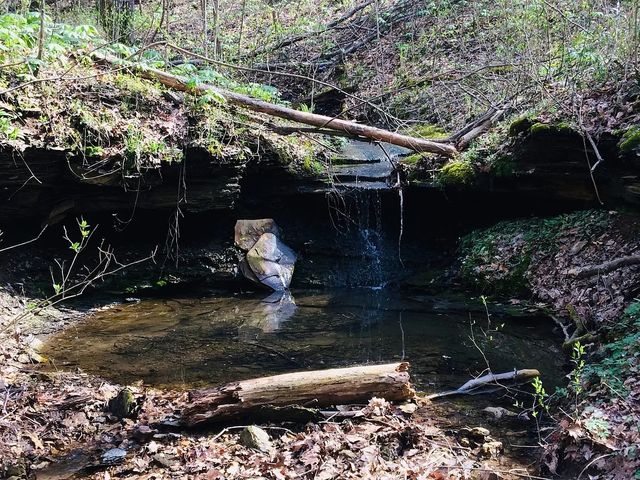 0 Old Highway 31E, Westmoreland, TN 37186