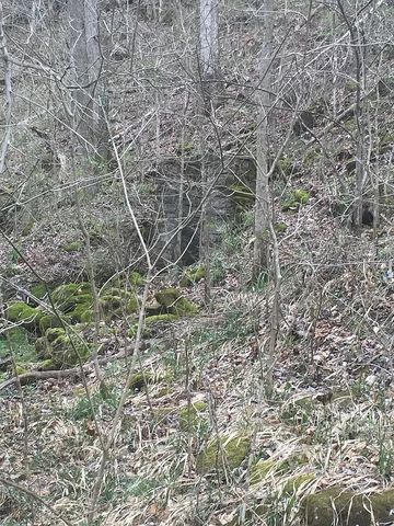 0 Old Highway 31E, Westmoreland, TN 37186