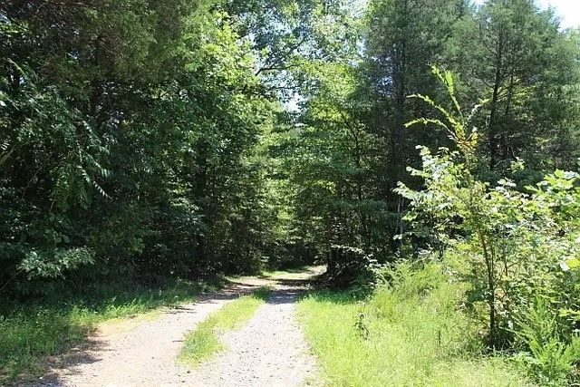 0 Old Highway 31E, Westmoreland, TN 37186