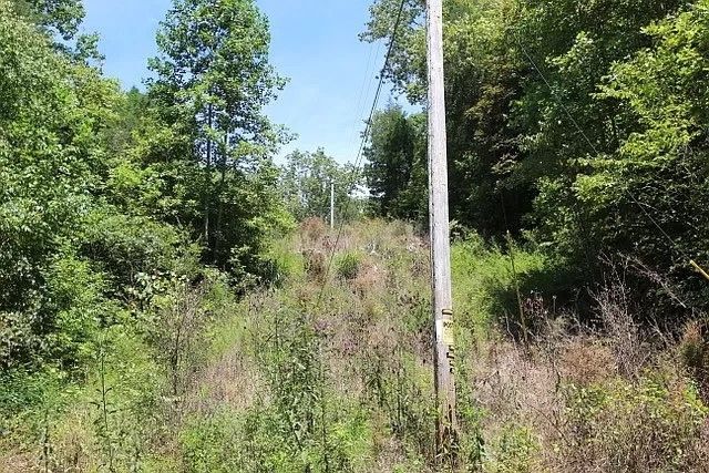 0 Old Highway 31E, Westmoreland, TN 37186