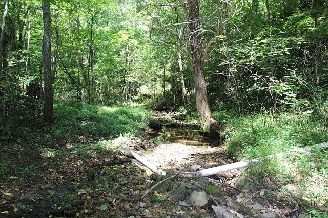 0 Old Highway 31E, Westmoreland, TN 37186