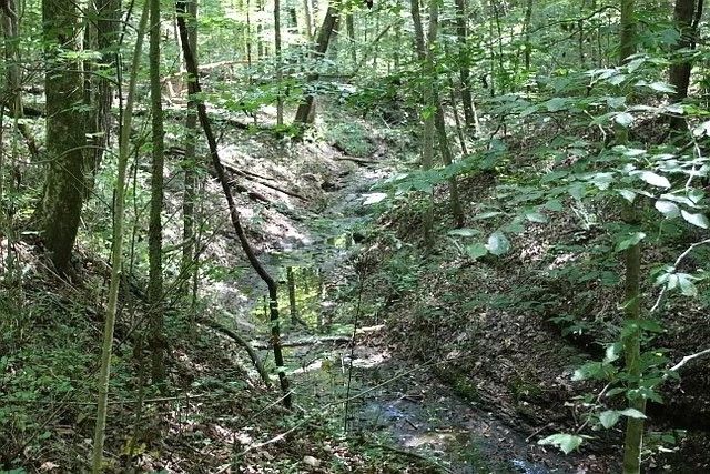 0 Old Highway 31E, Westmoreland, TN 37186