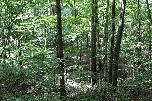 0 Old Highway 31E, Westmoreland, TN 37186