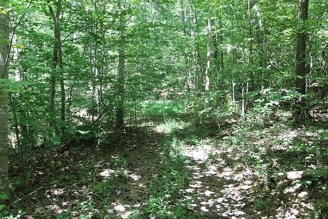 0 Old Highway 31E, Westmoreland, TN 37186