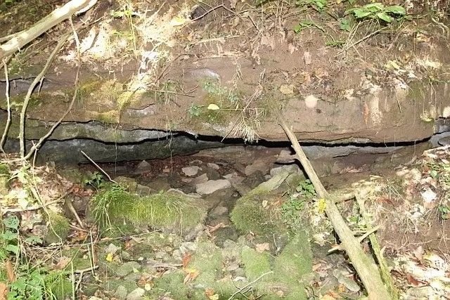 0 Old Highway 31E, Westmoreland, TN 37186