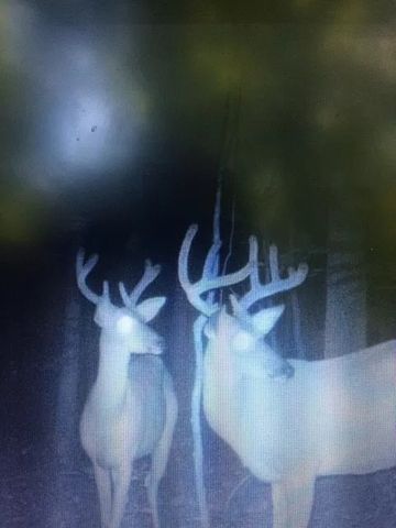 0 Old Highway 31E, Westmoreland, TN 37186