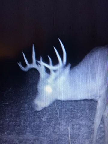 0 Old Highway 31E, Westmoreland, TN 37186