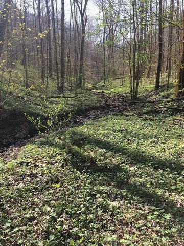 0 Old Highway 31E, Westmoreland, TN 37186