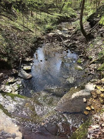 0 Old Highway 31E, Westmoreland, TN 37186