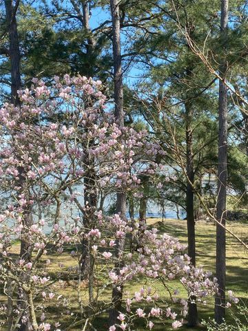 425 Old Fm 224, Coldspring, TX 77331