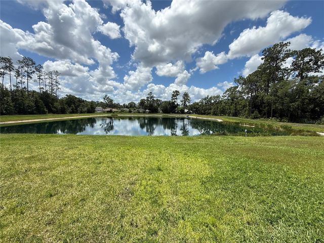 30596 THUNDERBIRD DRIVE, Wesley Chapel, FL 33545