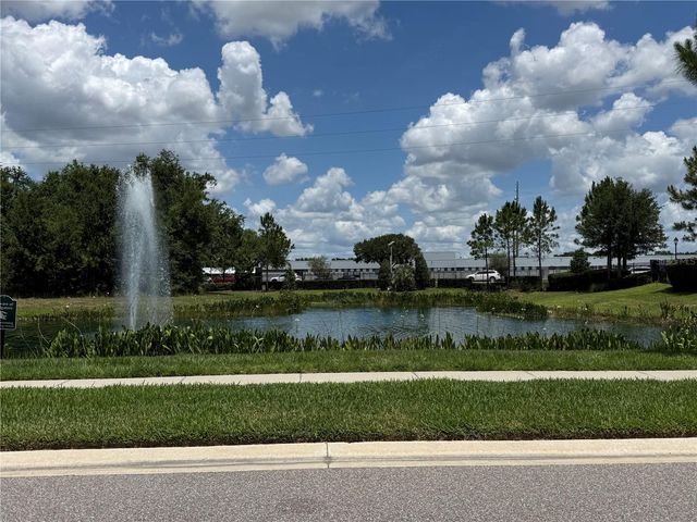 30596 THUNDERBIRD DRIVE, Wesley Chapel, FL 33545
