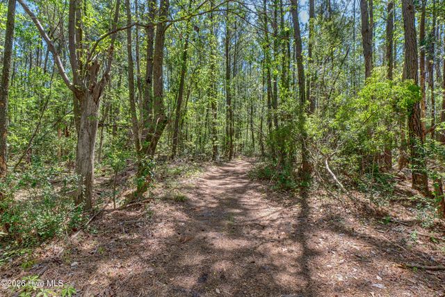 676 Majestic Oaks Drive, Hampstead, NC 28443