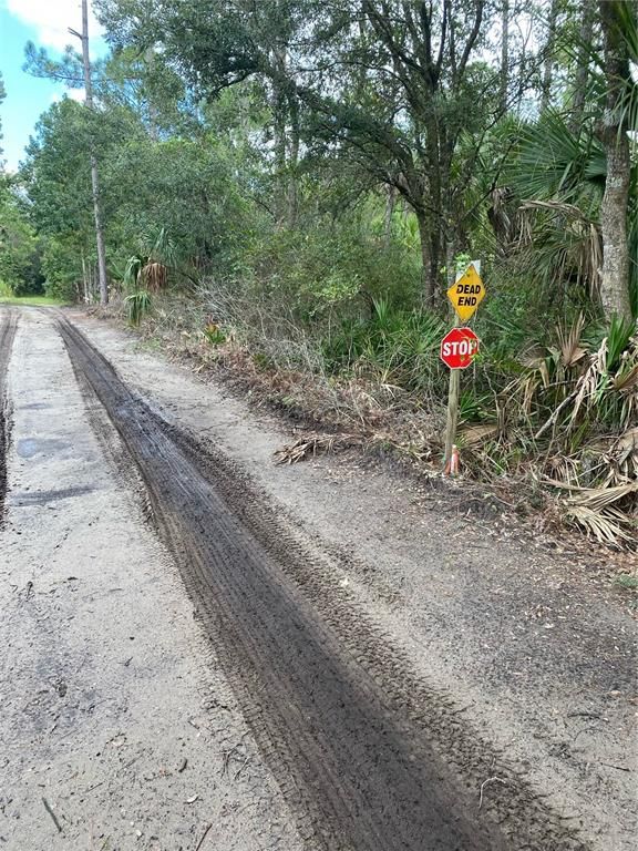 COUNTY RD 335, Bunnell, FL 32110
