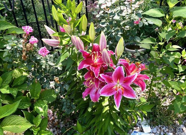 208 Myrtle Grande Dr., Conway, SC 29526