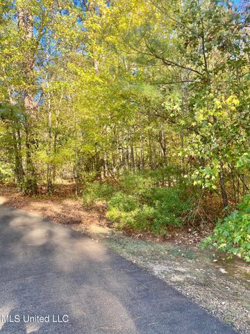 00 Little Creek Road, Flowood, MS 39232