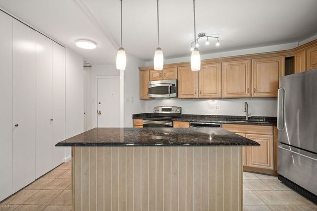 211 E Ohio Street 2915, Chicago, IL 60611