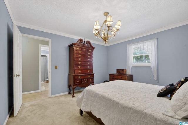 281 ELLIS LANE, Lincoln, AL 35096
