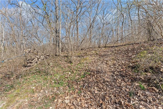 10368 Johnson Hollow Road, Pea Ridge, AR 72751