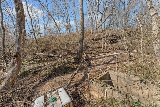 10368 Johnson Hollow Road, Pea Ridge, AR 72751