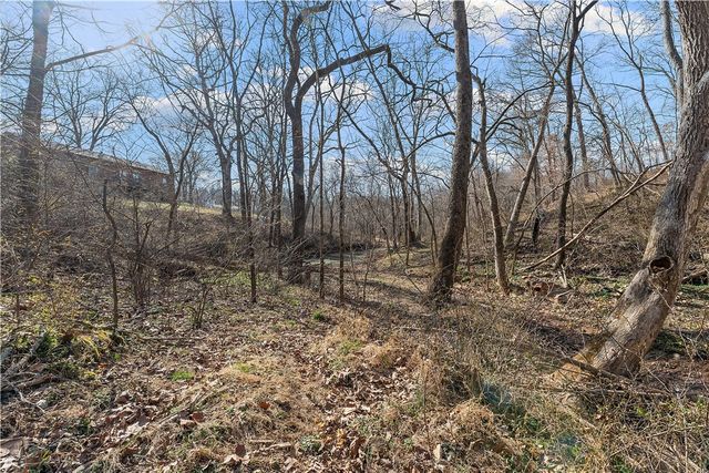 10368 Johnson Hollow Road, Pea Ridge, AR 72751