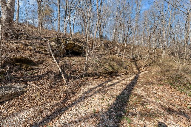 10368 Johnson Hollow Road, Pea Ridge, AR 72751