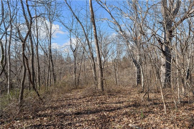 10368 Johnson Hollow Road, Pea Ridge, AR 72751