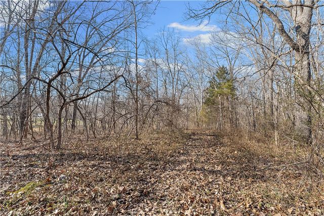 10368 Johnson Hollow Road, Pea Ridge, AR 72751