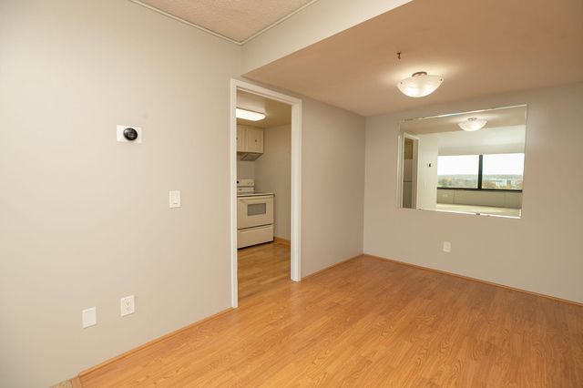 207 5th Avenue SW 902, Rochester, MN 55902